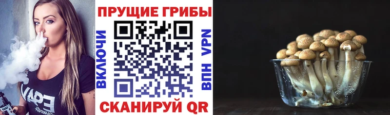KRAKEN ссылка  Очёр  Псилоцибиновые грибы мицелий 